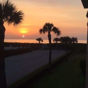 Meet your Posher, Dillon